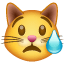 Emoticon de gato chorando Whatsapp U + 1F63F