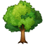 Broad-leafed tree smiley Whatsapp U+1F333 Broad-leafed tree smiley Whatsapp U+1F333