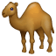 Dromedary Whatsapp U+1F42A Dromedary Whatsapp U+1F42A