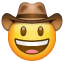 Sorriso de cowboy Whatsapp U + 1F920