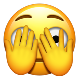 Fearful Face Emoji (U+1F628)