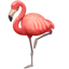 Flamingo Whatsapp U+1F9A9 Flamingo Whatsapp U+1F9A9