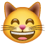 Emoji faccia di gatto divertente U + 1F638