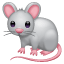 White mouse Whatsapp U+1F401 White mouse Whatsapp U+1F401