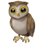 Owl emoji Whatsapp U+1F989 Owl emoji Whatsapp U+1F989
