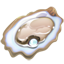 Oyster Whatsapp U+1F9AA Oyster Whatsapp U+1F9AA