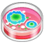 Petri dish emoji U+1F9EB Petri dish emoji U+1F9EB