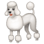 Poodle emoji U+1F429 Poodle emoji U+1F429