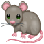 Rat gray mouse Whatsapp U+1F400 Rat gray mouse Whatsapp U+1F400