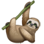 Sloth Whatsapp U+1F9A5 Sloth Whatsapp U+1F9A5
