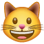 Faccina gatto che ride Whatsapp U + 1F63A