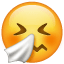 emoji de cara com espirros U + 1F927