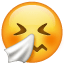 faccina che starnutisce emoji U + 1F927