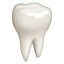 Dente emoji U + 1F9B7