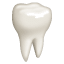 Emoji de dente U + 1F9B7