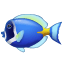 Colored fish U+1F420 Colored fish U+1F420