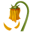 Withered flower Whatsapp U+1F940 Withered flower Whatsapp U+1F940