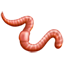 Worm emoji U+1FAB1 Worm emoji U+1FAB1